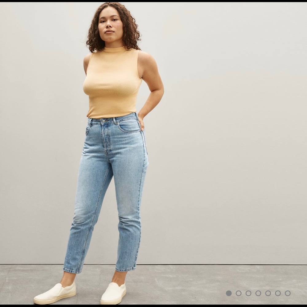 Everlane Curvy 90s Cheeky Jean Size 26 crop
